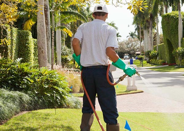 About Ottawa IL Pest Control